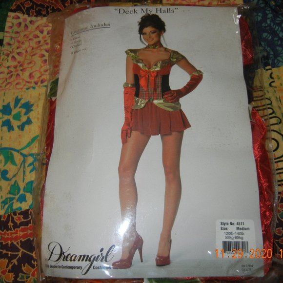 Dreamgirl Other - NIP Holiday Cosplay Intimate  Costume sz M